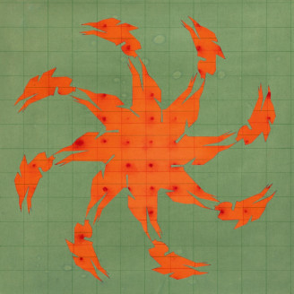 Album artwork for Tierra de Nahuales
