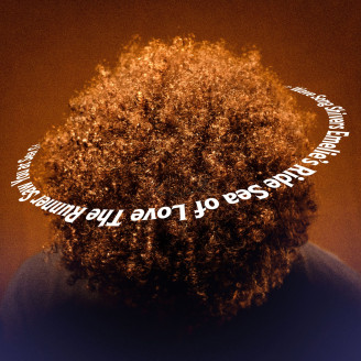 Album artwork for Sea of Love (LP)