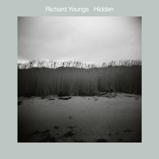 Album artwork for Hidden