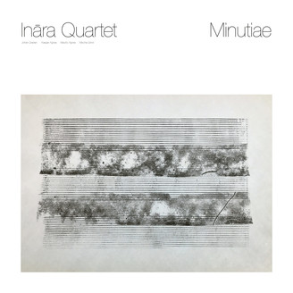 Album artwork for Minutiae