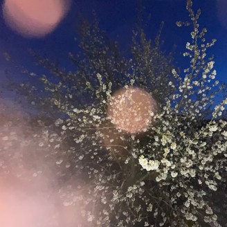 Album artwork for Frühling