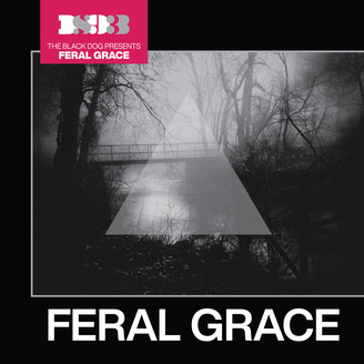 Pre-Orders | Kompakt