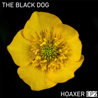 Album artwork for Hoaxer EP 2