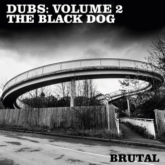 Album artwork for Dubs: Volume 2