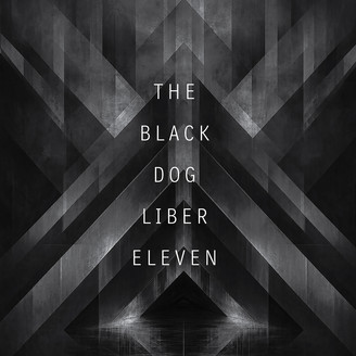 The Black Dog – Liber Eleven (Remastered) vinyl cover