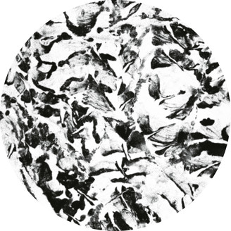 Album artwork for Anata EP