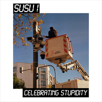 Album artwork for Celebrating Stupidity