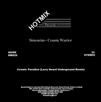 Album artwork for Cosmic Warrior (Larry Heard & Ron Trent Remixes)