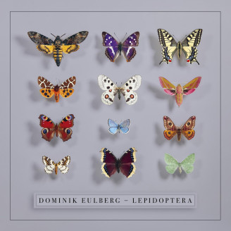 Album artwork for Lepidoptera