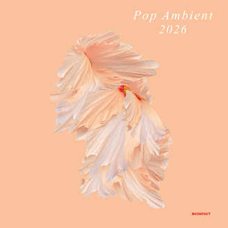 Album artwork for Pop Ambient 2026