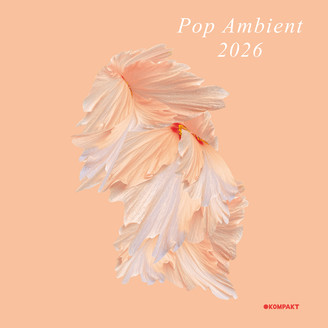 Album artwork for Pop Ambient 2026
