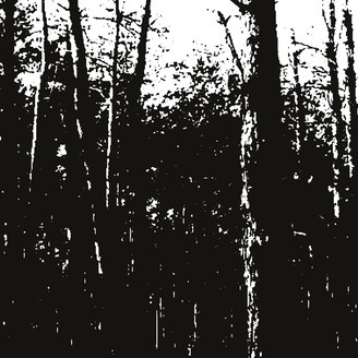 Album artwork for Cosmic Cycles