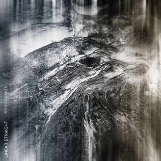 Album artwork for Roscosmos