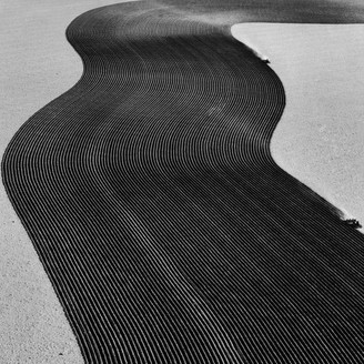 Album artwork for Vanity