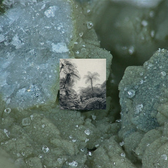 Album artwork for Alienation Effects