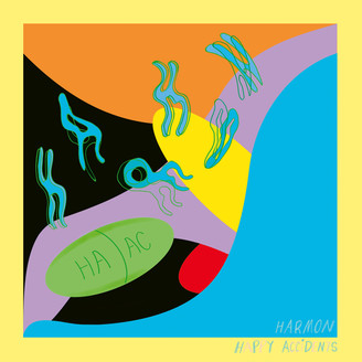 Album artwork for Happy Accidents
