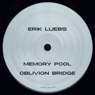 Album artwork for Reversing Time