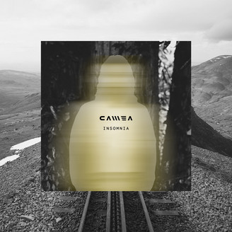 Album artwork for Insomnia