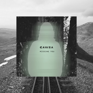 Album artwork for Missing You