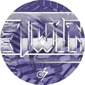 Album artwork for You've Got a Twin in The Attic (You Lunatic)