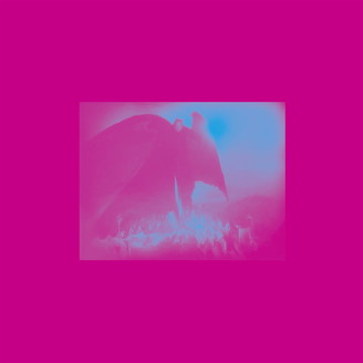 Album artwork for Live At Robert Johnson – Lifesaver Compilation 2 Extension