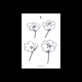 Album artwork for Poppies