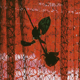 Album artwork for Visible Cloaks Remix