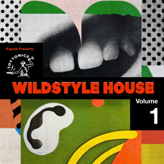 Album artwork for Wildstyle House Vol. 1 (2LP)