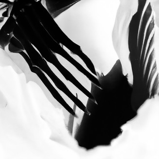 Album artwork for Balanced