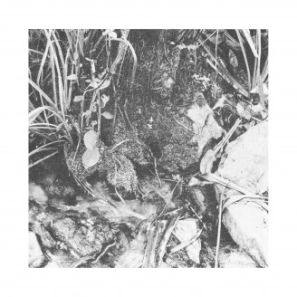 Album artwork for The Cormorant