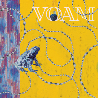 Album artwork for Everything Is Curly