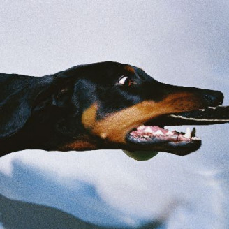 Album artwork for Diamond Cut / BBy