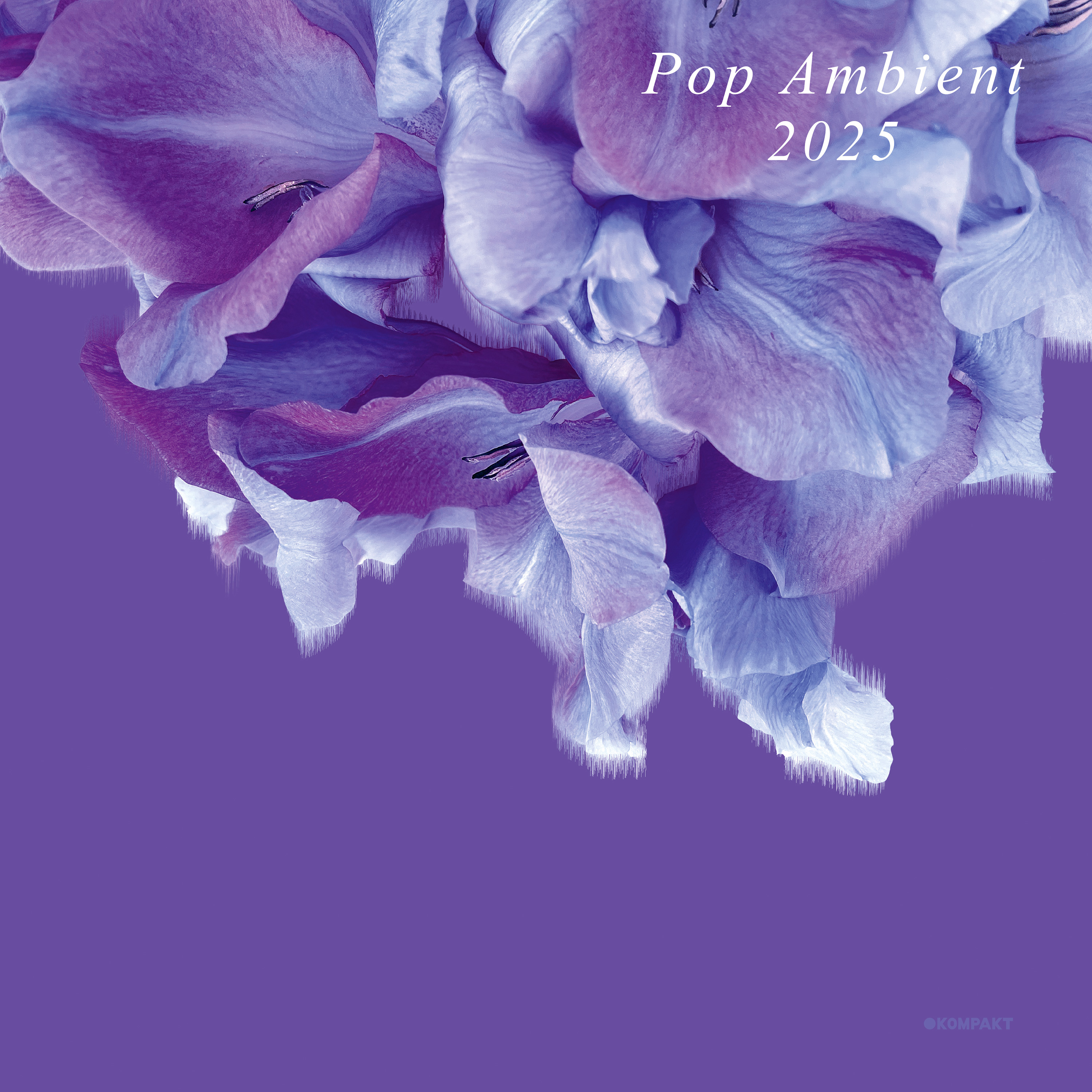 Pop Ambient 2025 by Various Artists | Kompakt