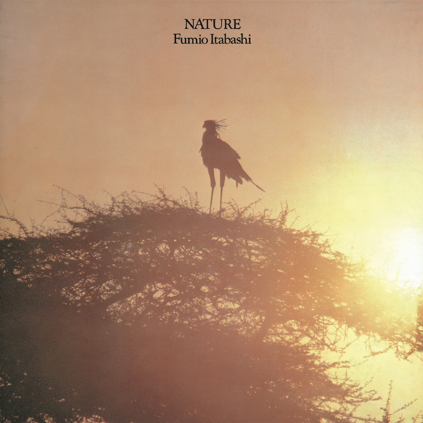 邦楽 NATURE LIVING / FACT (2005) Nature by Fumio Itabashi | Kompakt