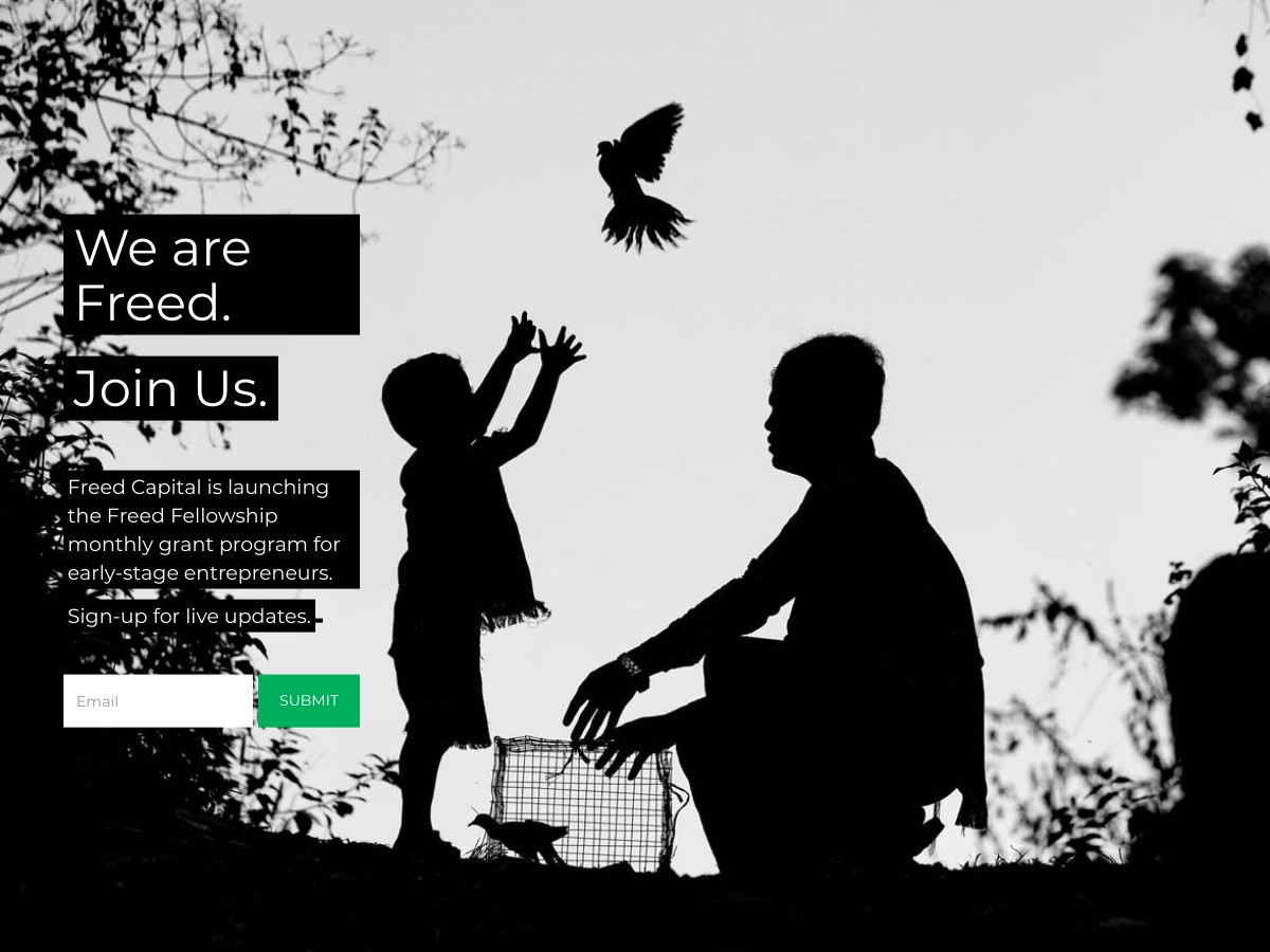 Entrepreneur Grants Freed Fellowship