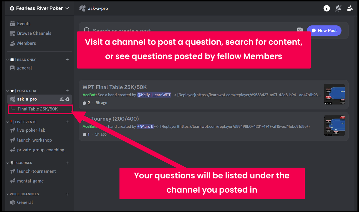 Discord - your posted questions