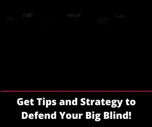 Tour Terms BB Defense 300x250