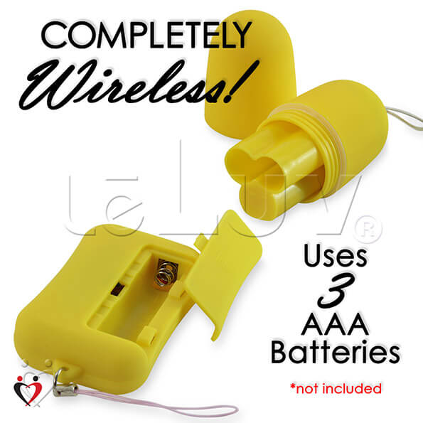 Remote Control Egg Wireless Multispeed LeLuv Vibrator Public Discreet | eBay