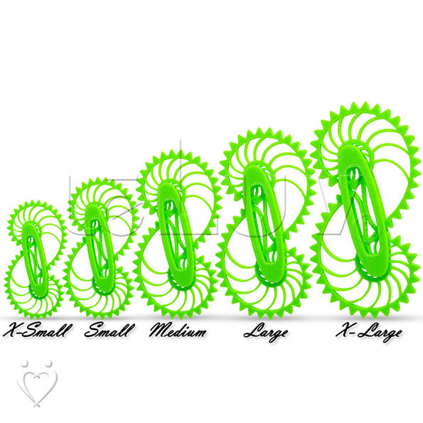 Nautilus Gear Fidget Toy X-Small Picture 1