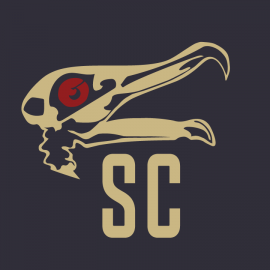 Seagull's Cycles