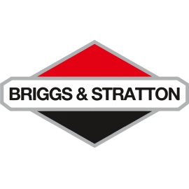 Briggs & Stratton