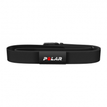 Equine Belt For Trotters