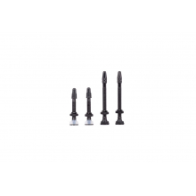 Tubeless Valve