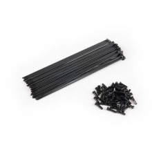 Pg Plain Spokes