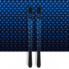 Vertis Skis