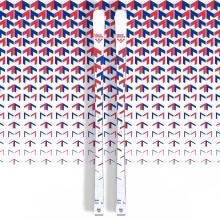 ARTO skis by Black Crows in Whistler Bc