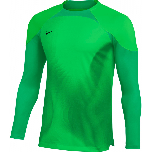Nike / Men's DriFIT ADV Gardien Soccer Goalkeeper Jersey