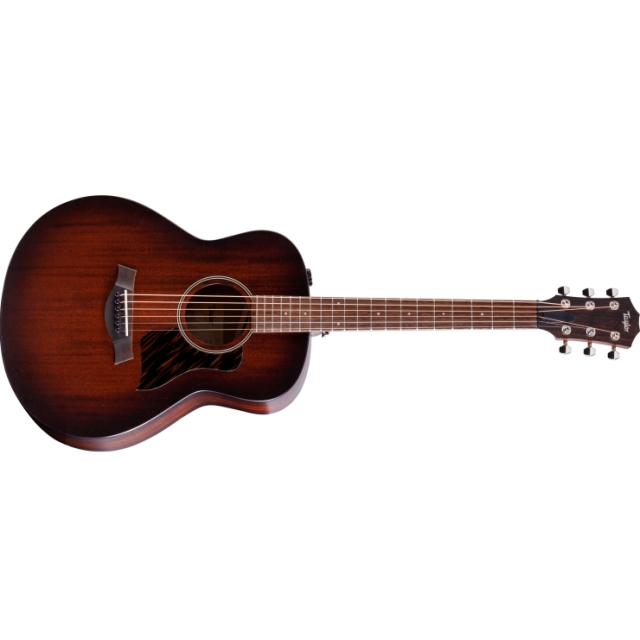 Taylor Guitars / AD21e