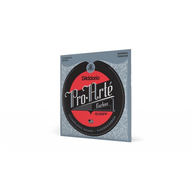 Taylor Guitars / D'Addario EJ45FF ProArte Carbon Classical Guitar