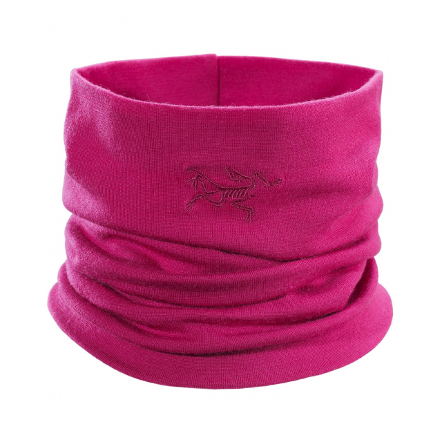 Arc'teryx / Rho LTW Neck Gaiter